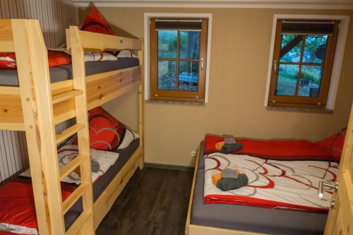 1 Schlafzimmer mit 2 Etagenbetten und einer Leiter in der Unterkunft Ferienwohnung Lämpelberg in Klingenthal