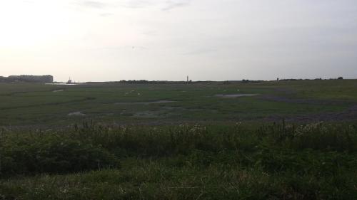 a field of grass with animals in the distance at Vakantieverblijf Strandgaper in Oostduinkerke