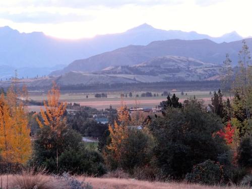 a group of trees with mountains in the background at Mitchella Eco Stay in Wanaka