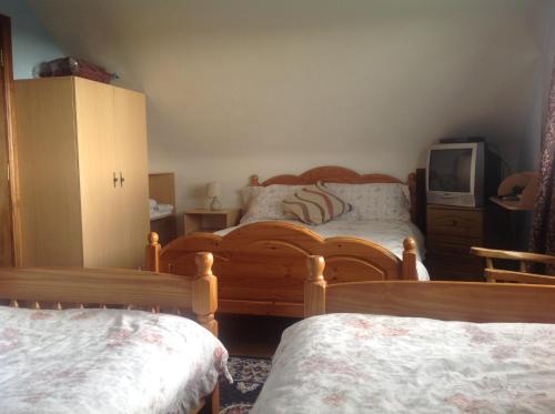 a bedroom with two beds and a tv in it at The Rock Equestrian Farm B&B in Bailieborough