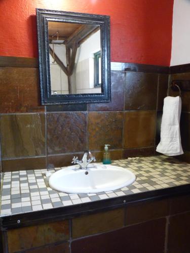 a bathroom with a sink and a mirror at Boskoppie Lion & Tiger Reserve in Kroonstad