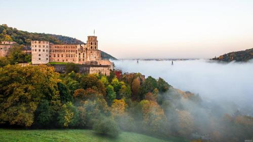 a castle on top of a hill in the fog at Ferienwohnung Mörlenbach in Mörlenbach