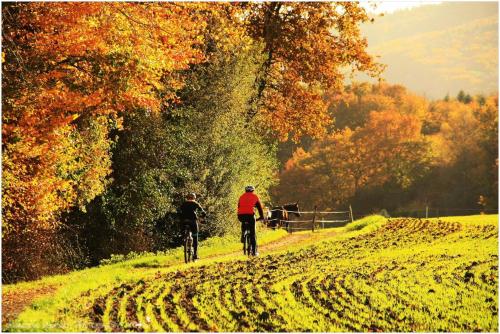 two people riding bikes down a dirt road at Ferienwohnung Mörlenbach in Mörlenbach