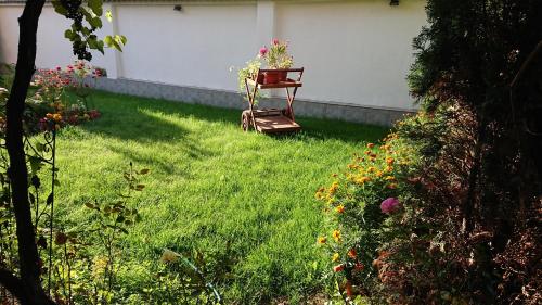 Zahrada ubytování Family Hotel Dalia