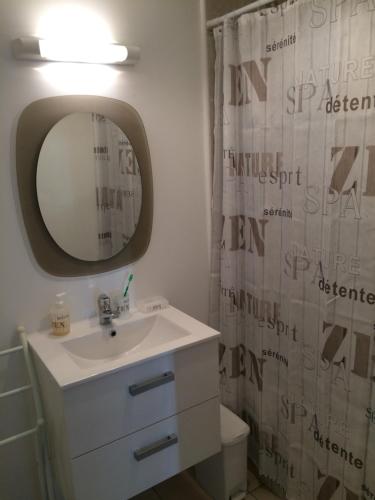 a bathroom with a sink and a shower curtain at Appartement Granville in Granville