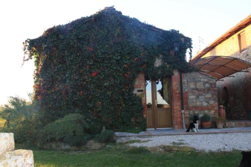 a cat walking in front of a building covered in ivy at Agriturismo Bagnolo in Pienza