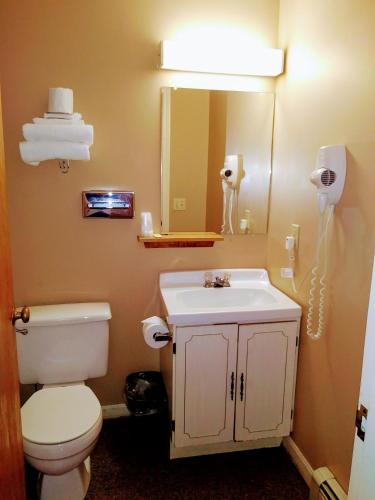 a bathroom with a toilet and a sink and a mirror at Hotel Terrace in Millinocket