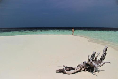a man standing on a beach with a tree branch on the beach at Detour Beach View in Hangnaameedhoo