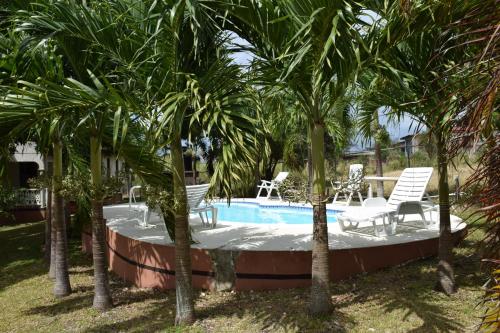 Πισίνα στο ή κοντά στο 5Bedrooms Eulen Villa Arthur Seat St Thomas Barbados