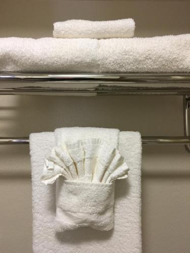 un montón de toallas en un estante en un baño en Hopi Cultural Center, en Shongopovi