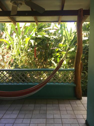 a hammock in a room with a garden at Cabinas Guarana in Puerto Viejo