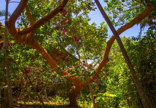 Yacumaman Sanctuary – Photos 5