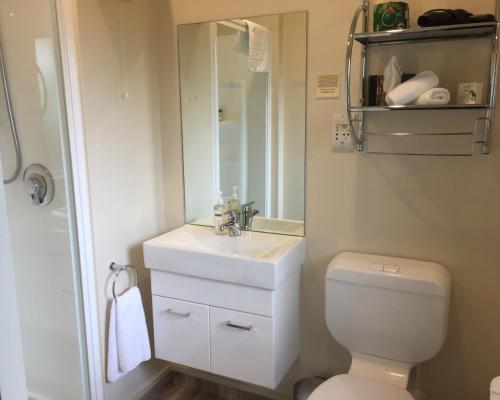 a bathroom with a toilet and a sink and a mirror at Lake Roxburgh Lodge in Roxburgh