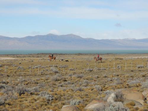 two people riding horses in a field at Complejo "Nahuel Pan " in El Chalten