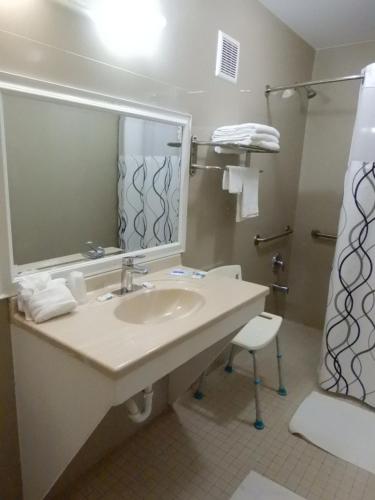 Koupelna v ubytování Siesta Inn McAllen