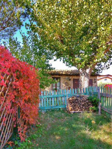 a blue fence in front of a house with a tree at Residence il Colle in Collestrada