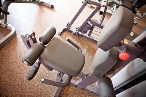 Fitness centrum a/nebo fitness zařízení v ubytování Hotel Rodan