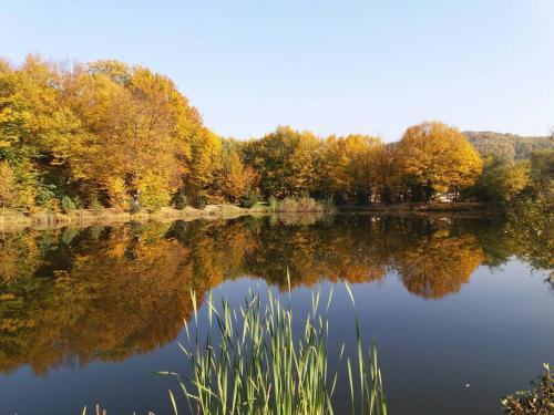 A view of a lake near a vendégházakat