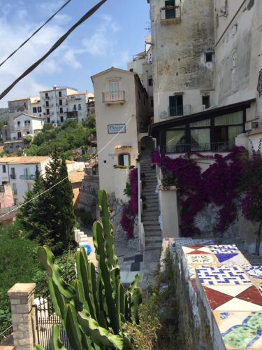 a building with a cactus in front of it at Florenza Residence in Sperlonga