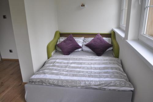 ペツ・ポト・スニェシュコウにあるUbytování Javorの紫色の枕が備わるドミトリールームのベッド1台分です。