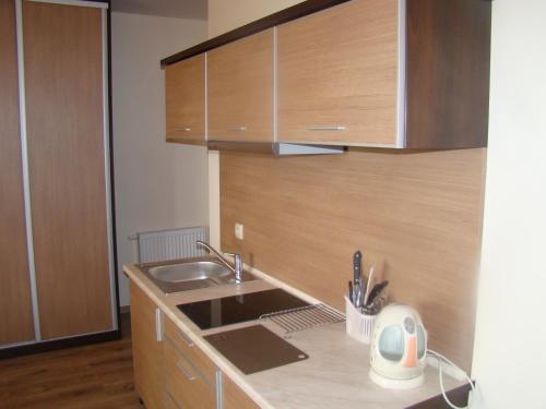 a kitchen with a sink and wooden cabinets at Apartamenty z widokiem na Zalew in Krynica Morska