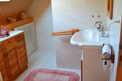 a small bathroom with a sink and a shower at Pech Cujoul in Gourdon-en-quercy
