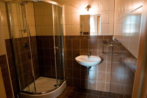 y baño con lavabo y ducha acristalada. en Pokoje gościnne "Mraźnica" en Zakopane