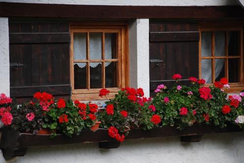 Κήπος έξω από το Chalet Stella Alpina