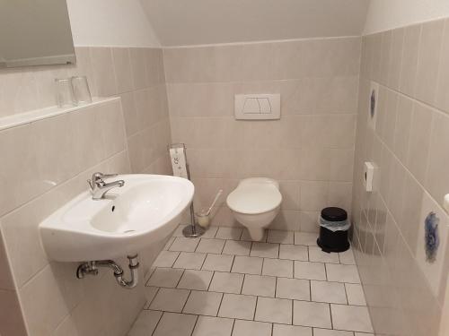 a bathroom with a sink and a toilet at Gasthaus und Hotel Peterhänsel in Spechtsbrunn