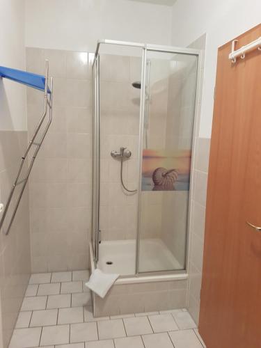 y baño con ducha y puerta de cristal. en Gasthaus und Hotel Peterhänsel, en Spechtsbrunn