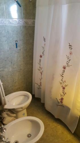 a bathroom with a toilet and a shower curtain at Apart Termal San Ramon in Termas de Río Hondo