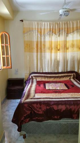 a bedroom with a bed with a curtain and a window at Apart Termal San Ramon in Termas de Río Hondo