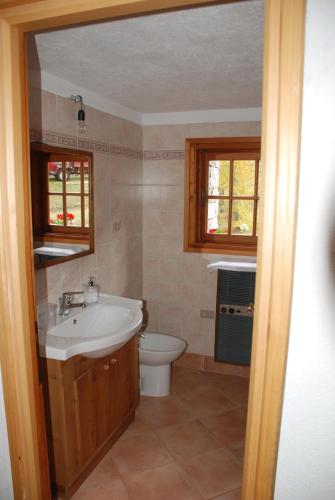 Ένα μπάνιο στο Chalet Stella Alpina