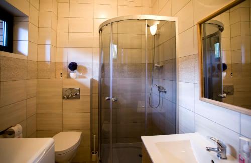 a bathroom with a shower and a toilet and a sink at Apartamenty Poddąbie in Poddąbie