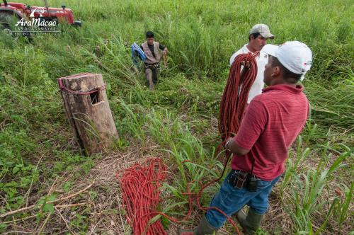 a group of men standing in a field at Las Guacamayas Lodge, Selva Lacandona, Chiapas México in Tlatizapán