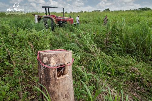 two men are standing in a field with a tractor at Las Guacamayas Lodge, Selva Lacandona, Chiapas México in Tlatizapán