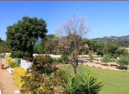 a garden with trees and plants in a park at Résidence Dicieppo in Ajaccio