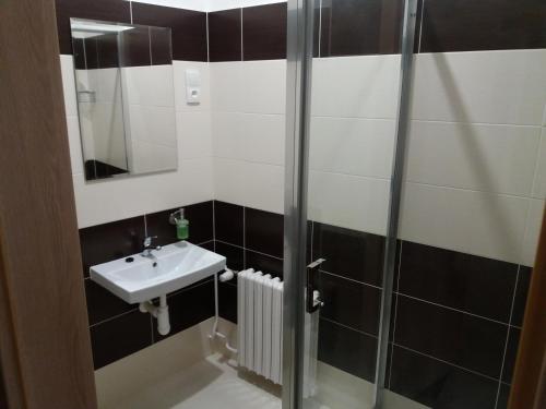 a bathroom with a sink and a shower at Penzion a wellness U Třeboňské madony in Třeboň