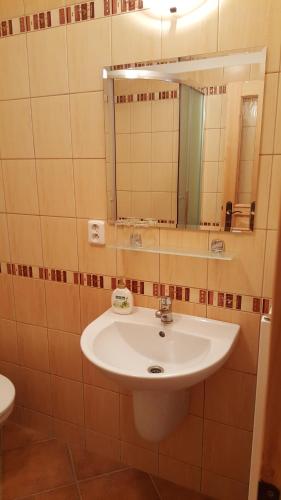 Oravská PolhoraにあるHostinec Babia horaのバスルーム(白い洗面台、鏡付)
