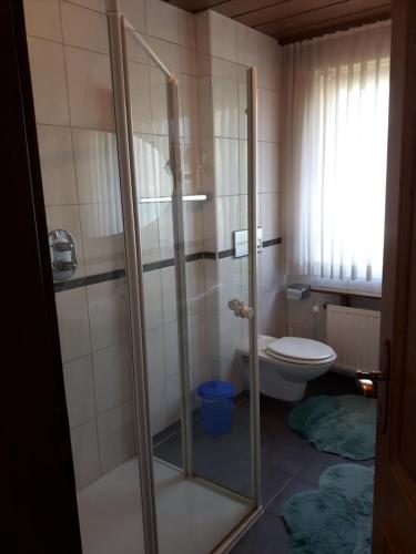 a bathroom with a shower and a toilet at Ferienwohnung Grothoff in Olsberg