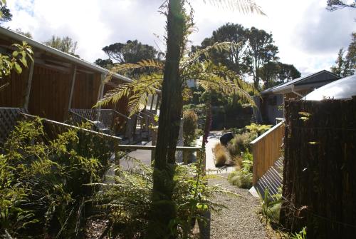 a garden with a palm tree and a fence at Kaka Retreat Motel, Stewart Island in Half-moon Bay