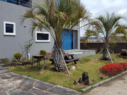 a house with two palm trees in the yard at Oh Happy Day Jeju in Jeju