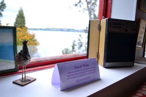 a small chicken sitting on a counter next to a box at Cabañas Yukatan Lago de Tota in Tota