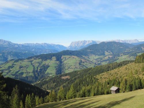 a green hillside with a house on top of it at Haus Katharina in Wagrain