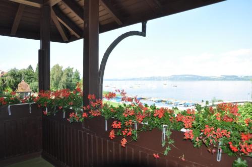 a row of flowers on a balcony overlooking the water at Hotel Schiff am See in Murten