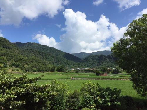 a green field with mountains in the background at Golden flower Homestay in Yuli