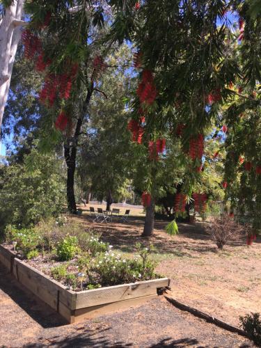 a park with a bench and trees and flowers at Azalea Motel in Coonabarabran