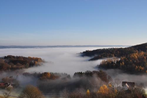 a view of a foggy valley with trees and a house at Gmiatliche Stubm in Loipersdorf bei Fürstenfeld