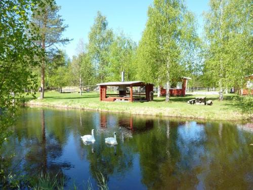 two swans are swimming in a lake with a cabin at Motelli Rovaniemi in Rovaniemi