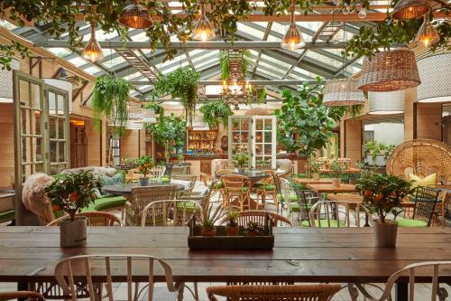 Kimpton Charlotte Square by IHG photo 41